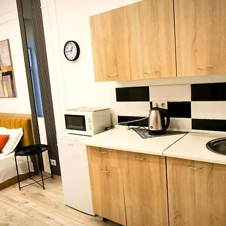 для пари з видом на оперний театр アパート